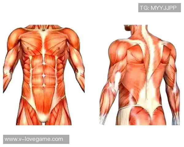 提升足球运动员大腿肌肉力量的训练方法与技巧分享